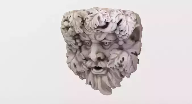 Head Wall Sculpture