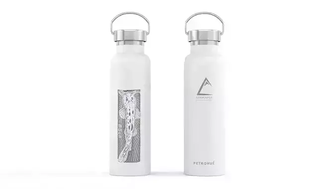 Water Bottle 3D model