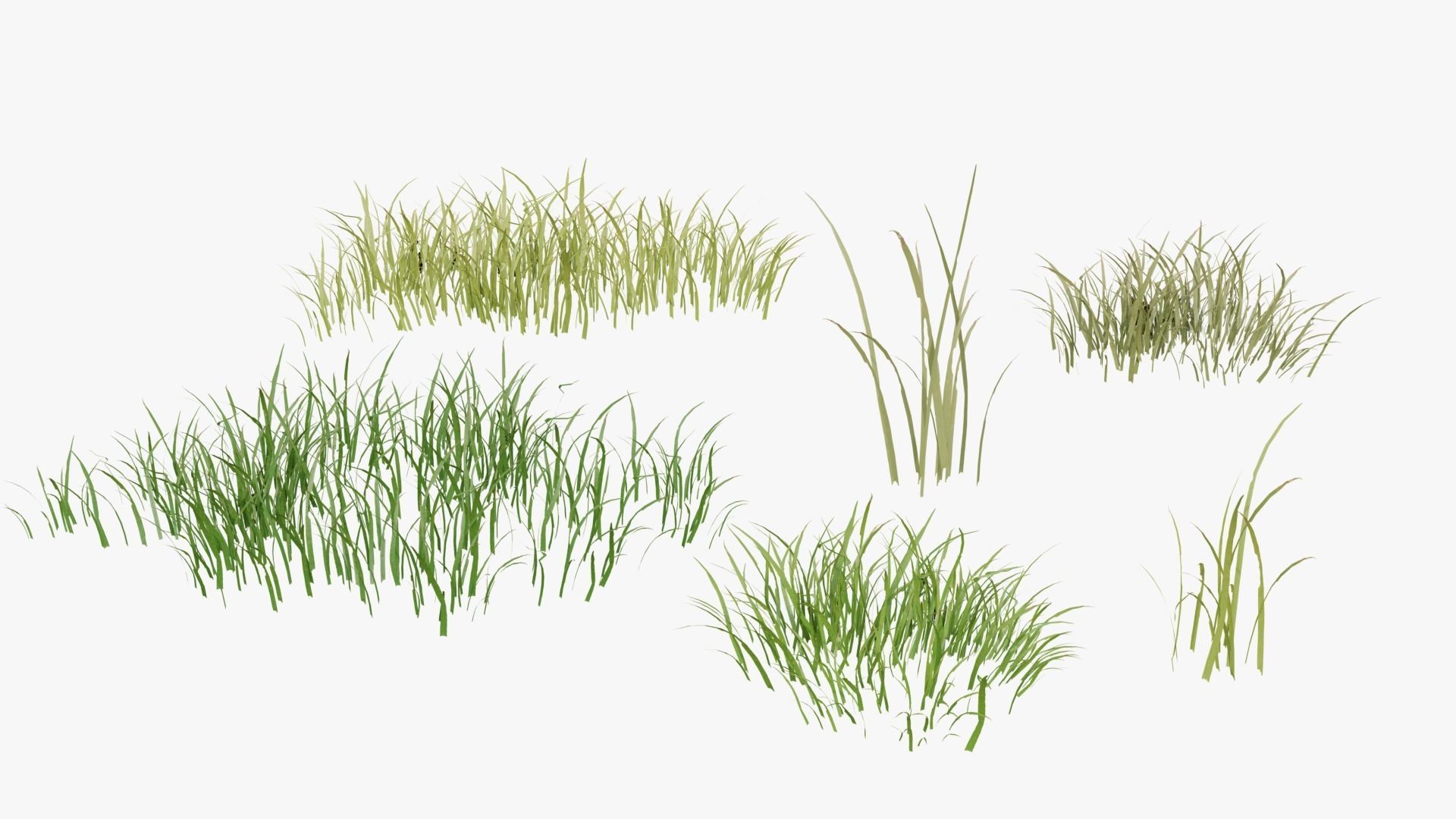 Wild Flower Grass 3D model_31