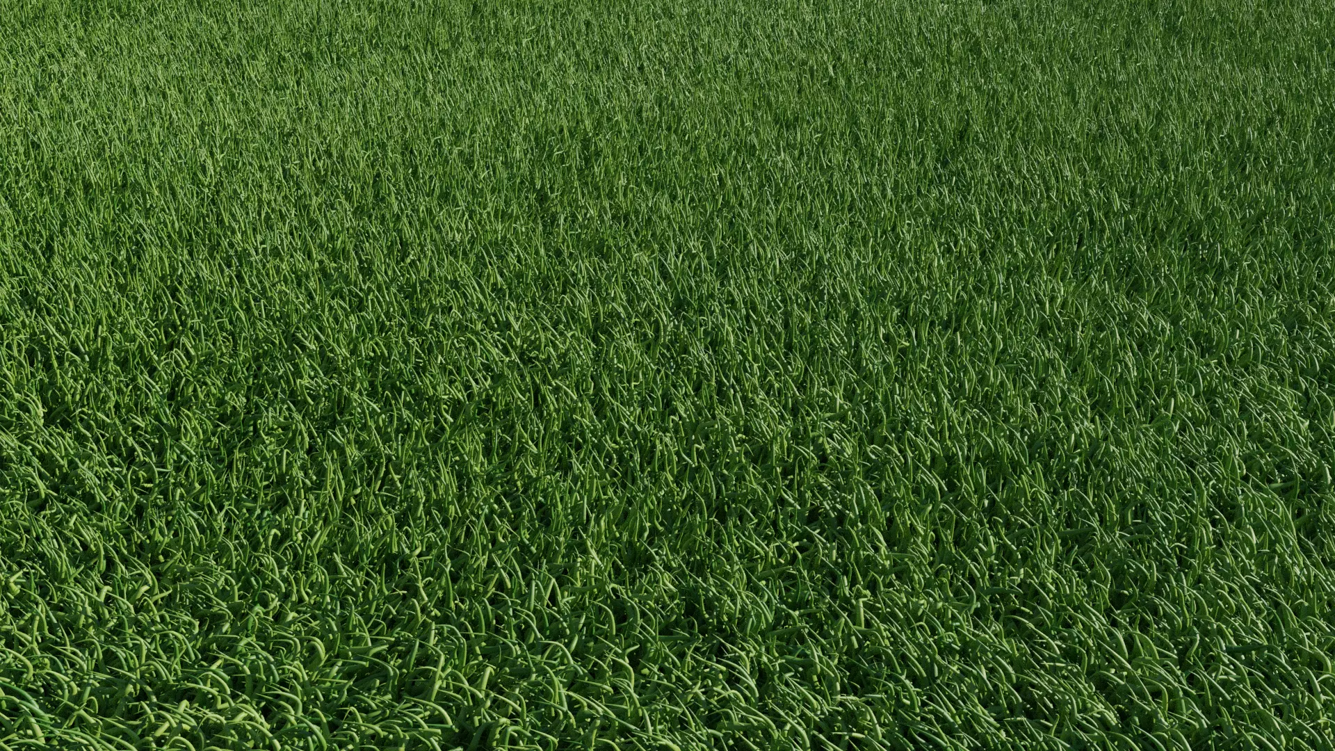 procedural field grass Low-poly 3D model_0