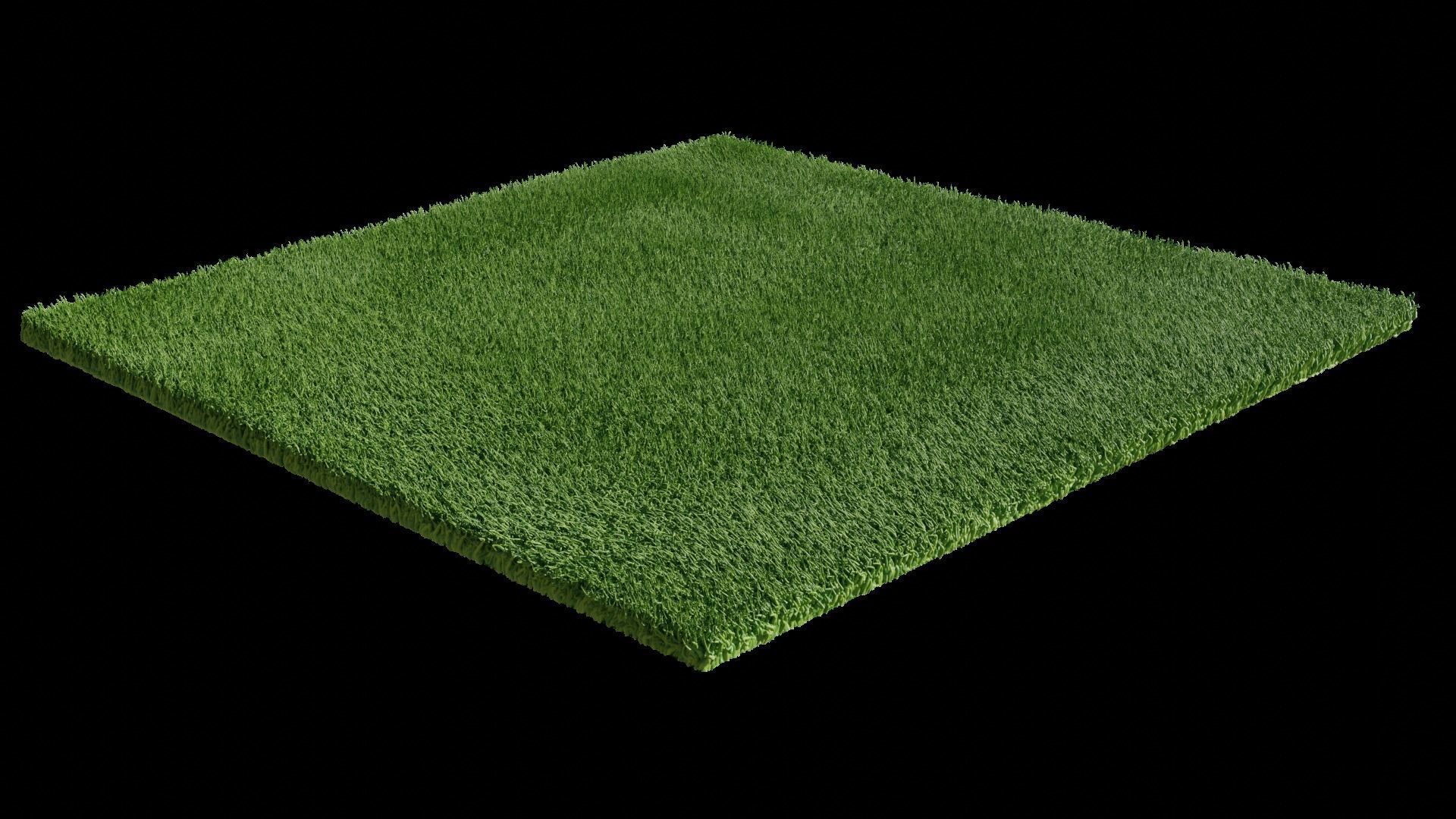 procedural field grass Low-poly 3D model_2