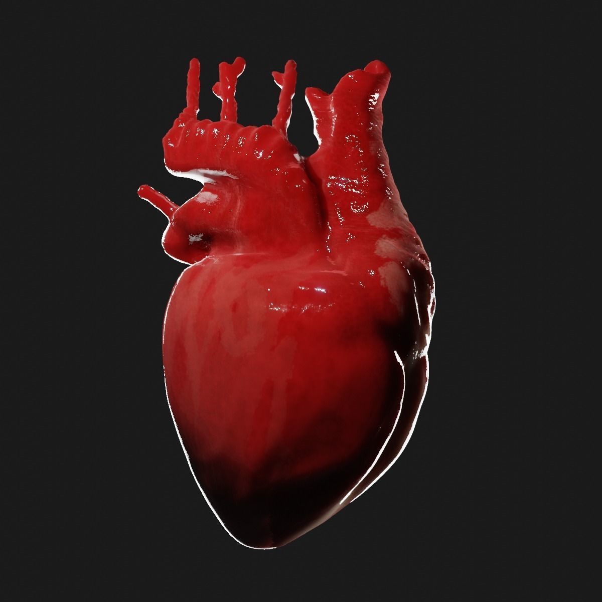 Realistic organ human heart 3D model_2