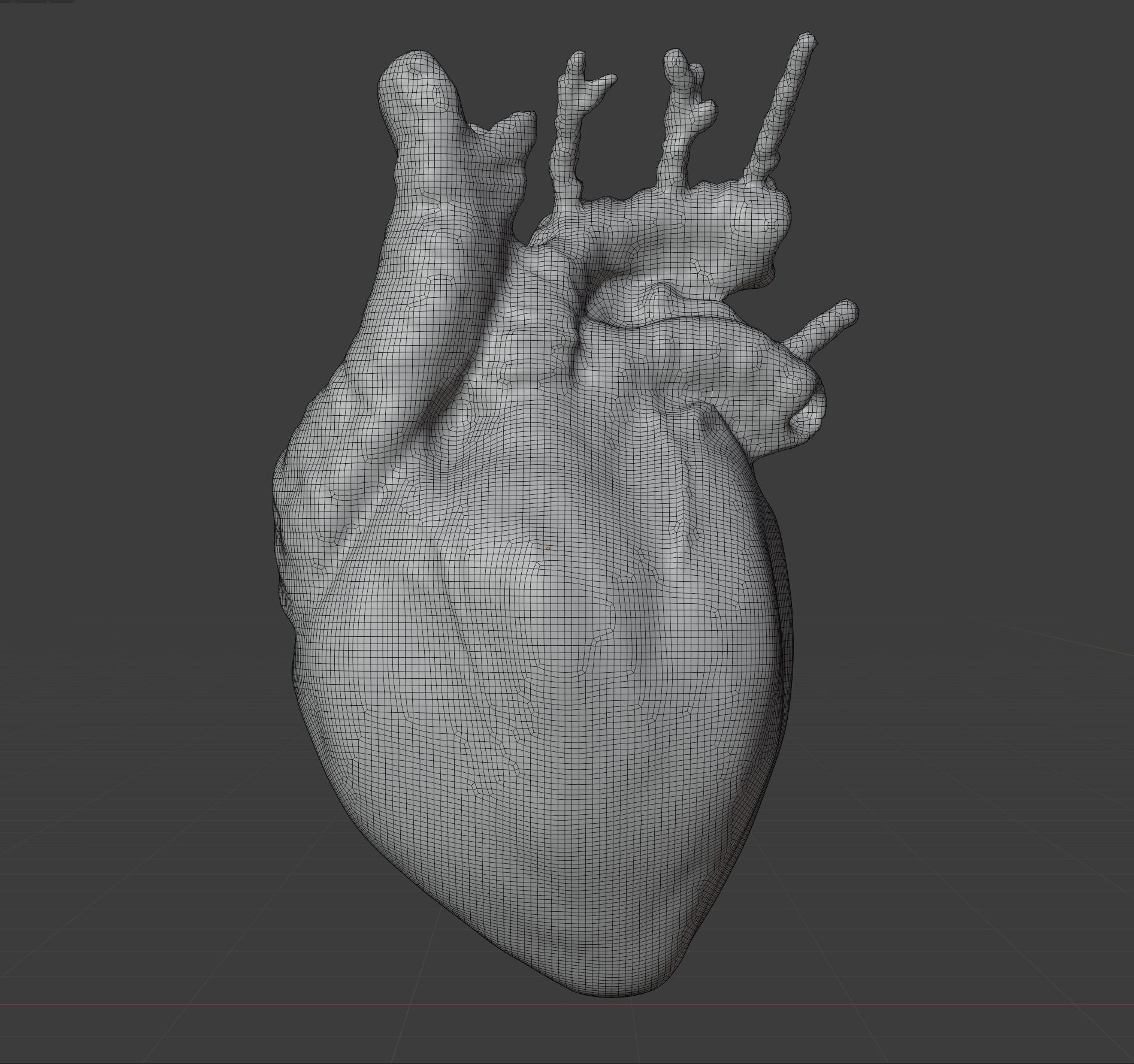 Realistic organ human heart 3D model_6