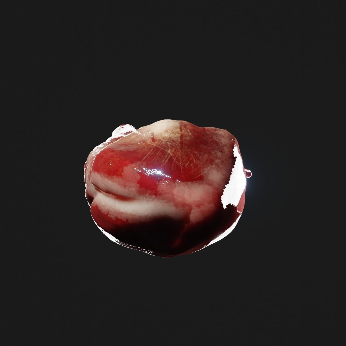 Realistic organ human heart 3D model_4