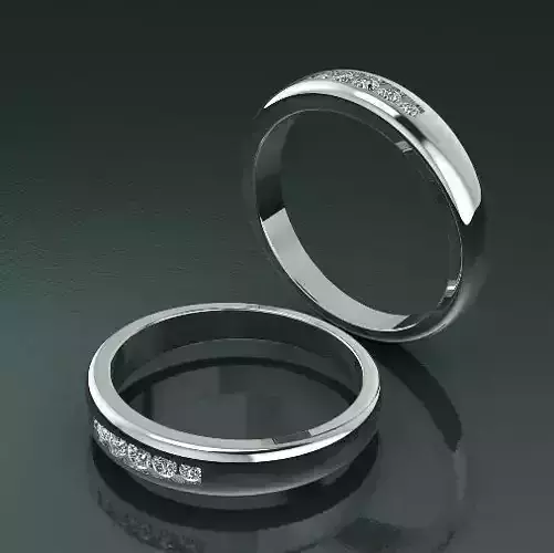Ring Model 1484
