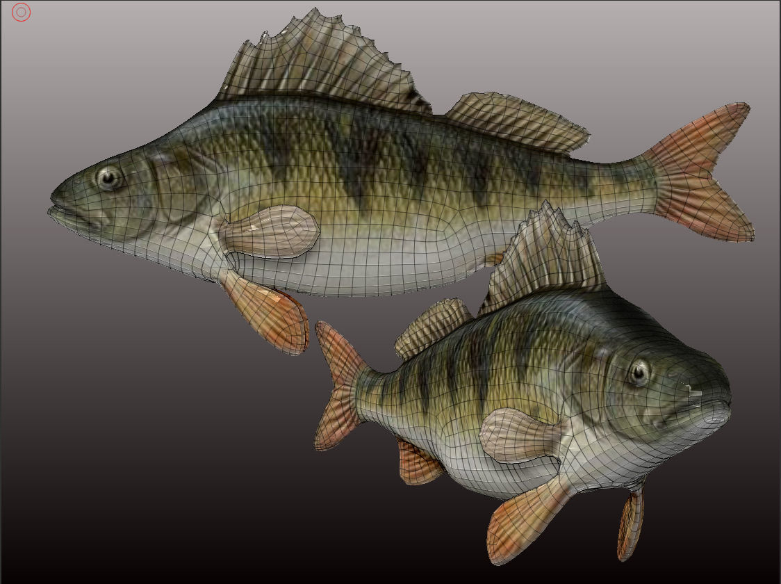 Perch  LP and HP Low-poly 3D model_10