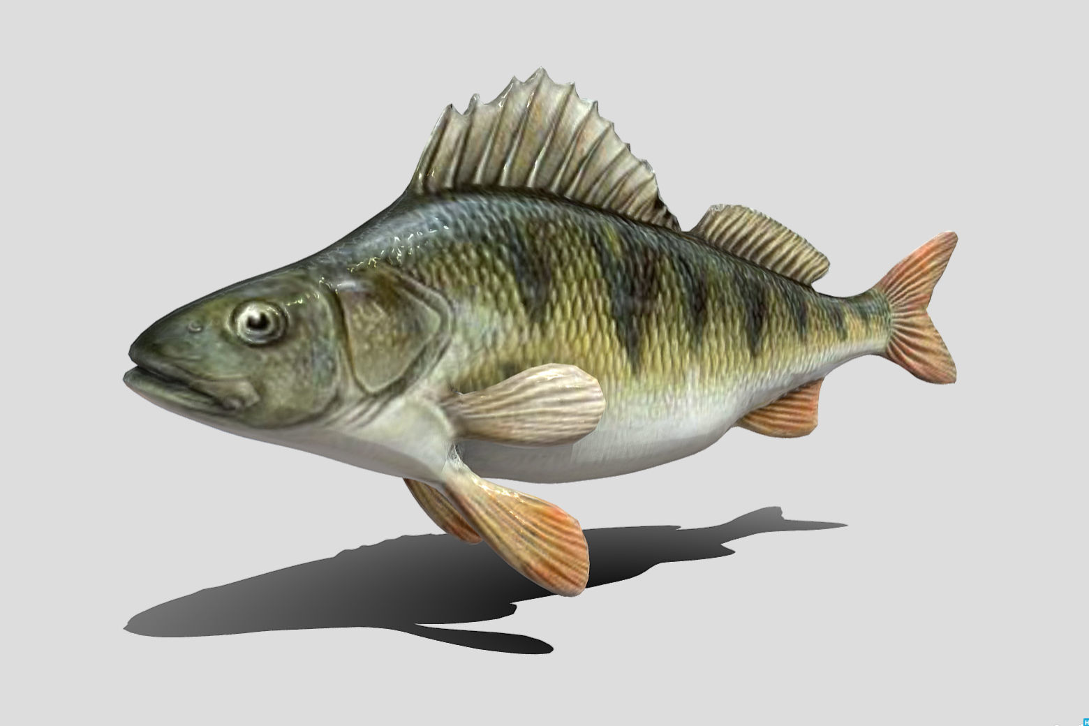 Perch  LP and HP Low-poly 3D model_20