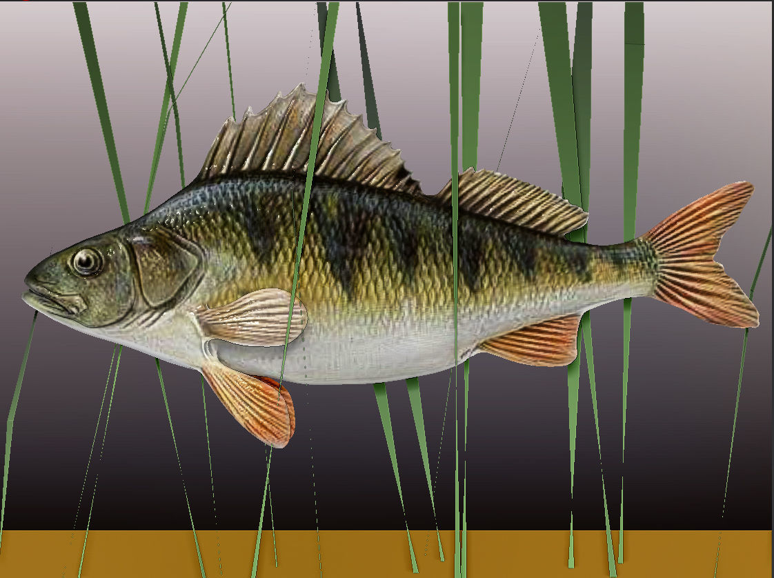 Perch  LP and HP Low-poly 3D model_4