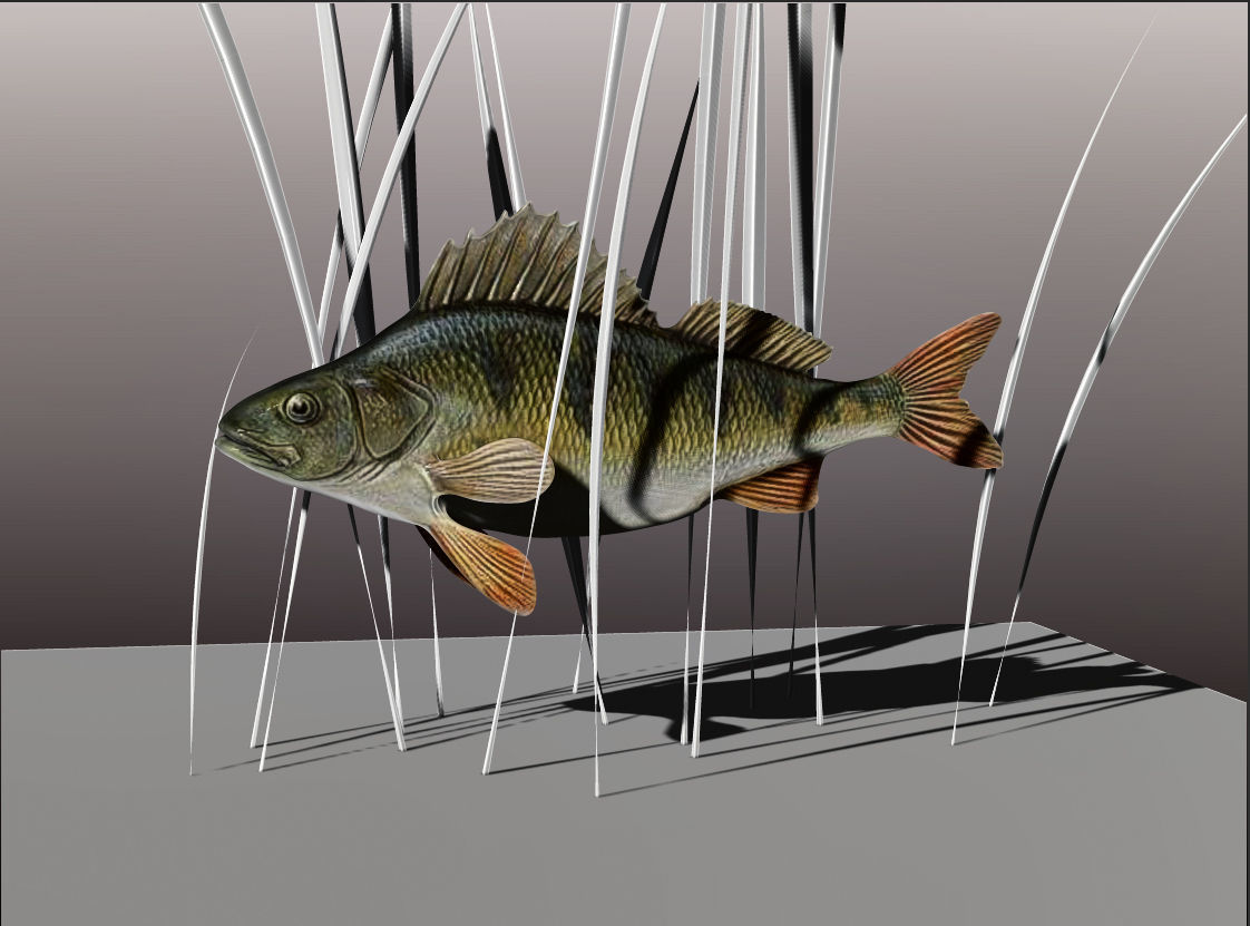 Perch  LP and HP Low-poly 3D model_9