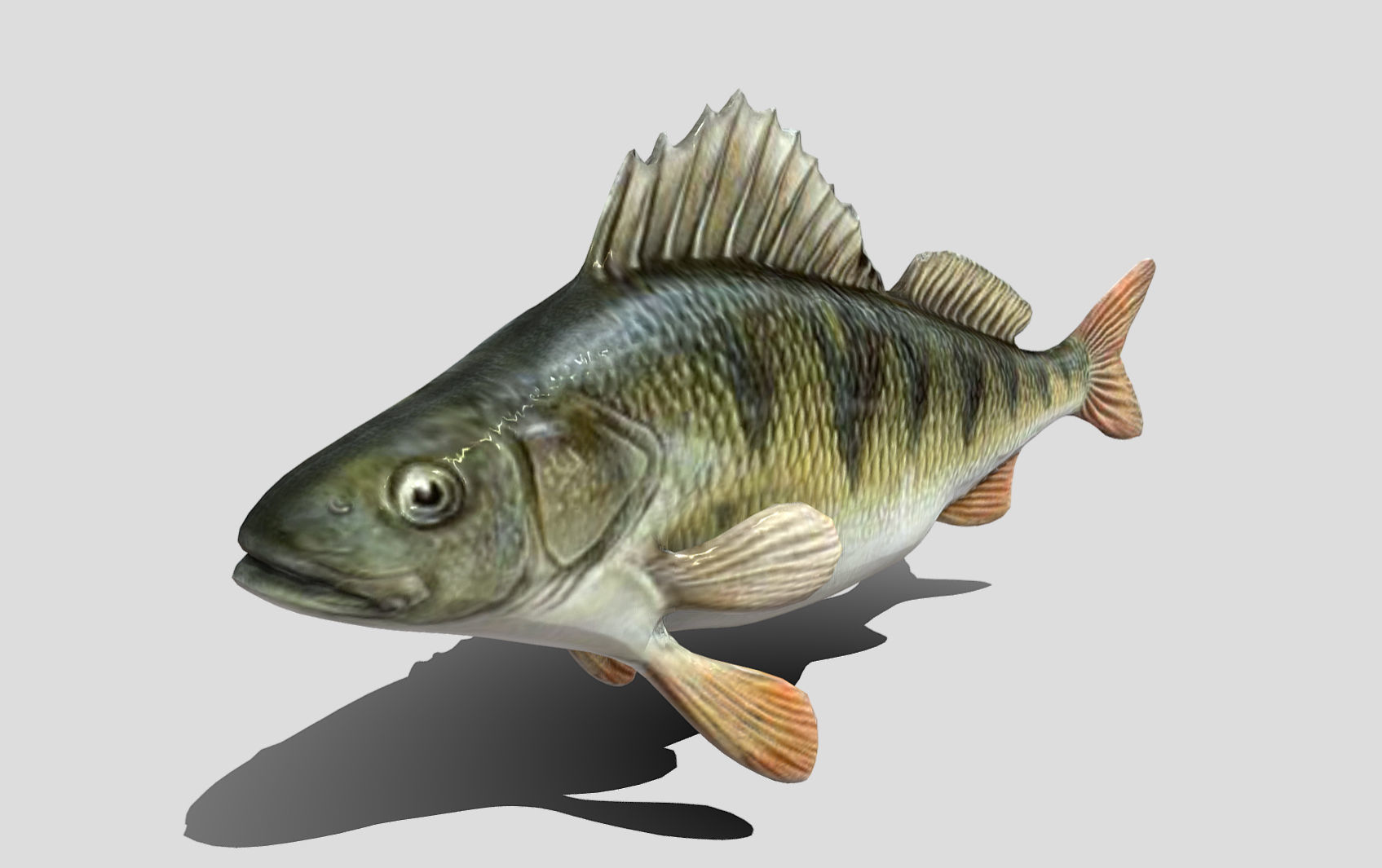 Perch  LP and HP Low-poly 3D model_12