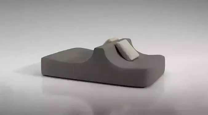 Sofa With Two Pillows