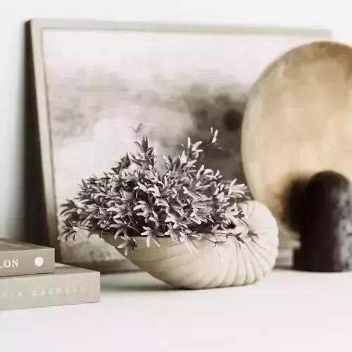 Decorative Set seashell vase