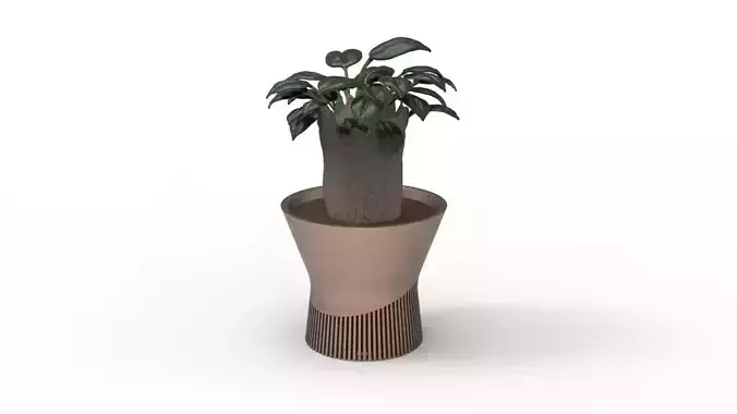Flowerpot  slit type