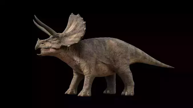 Triceratops dinosaur Low-poly 3D model