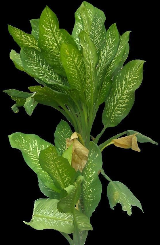 Modern House 002 3D model_65