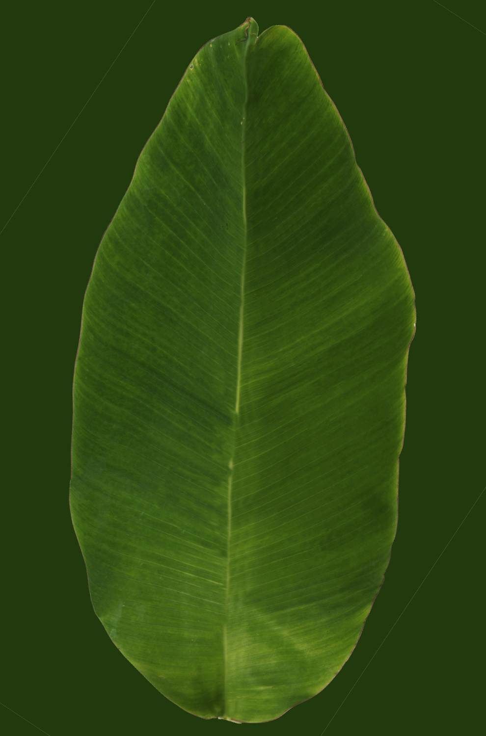 Modern House 002 3D model_13