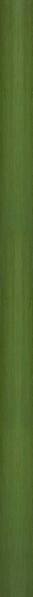 Modern House 002 3D model_14