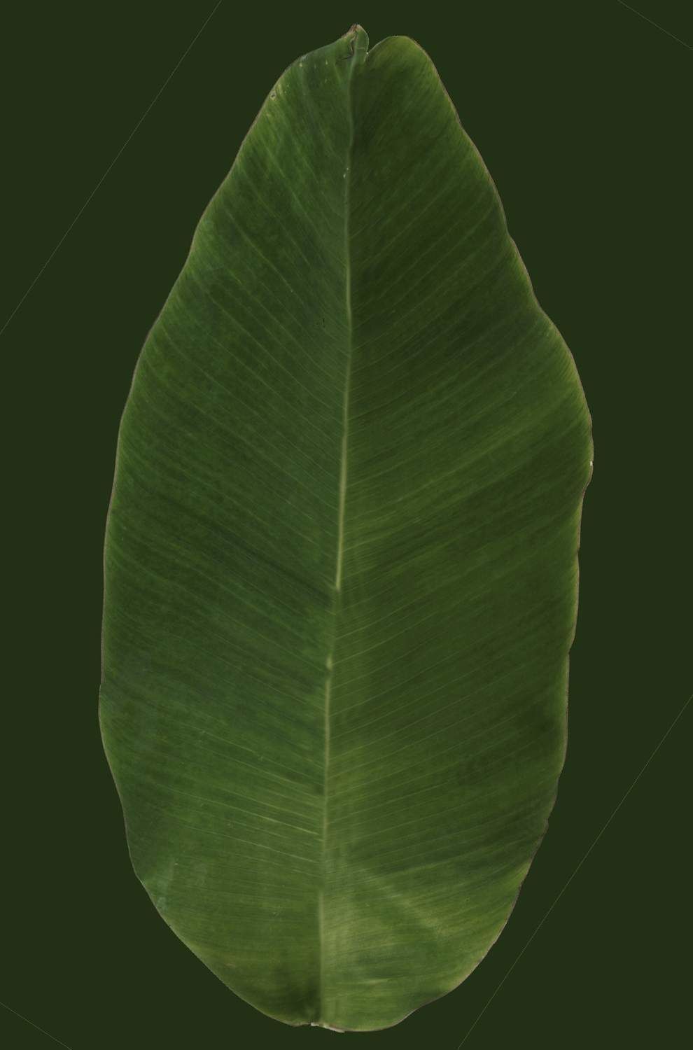 Modern House 002 3D model_12