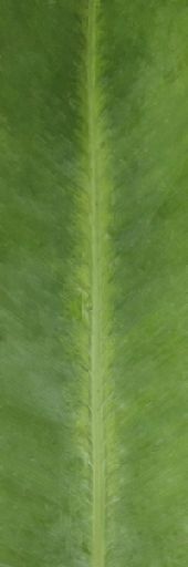 Residential Building 001 3D model_23