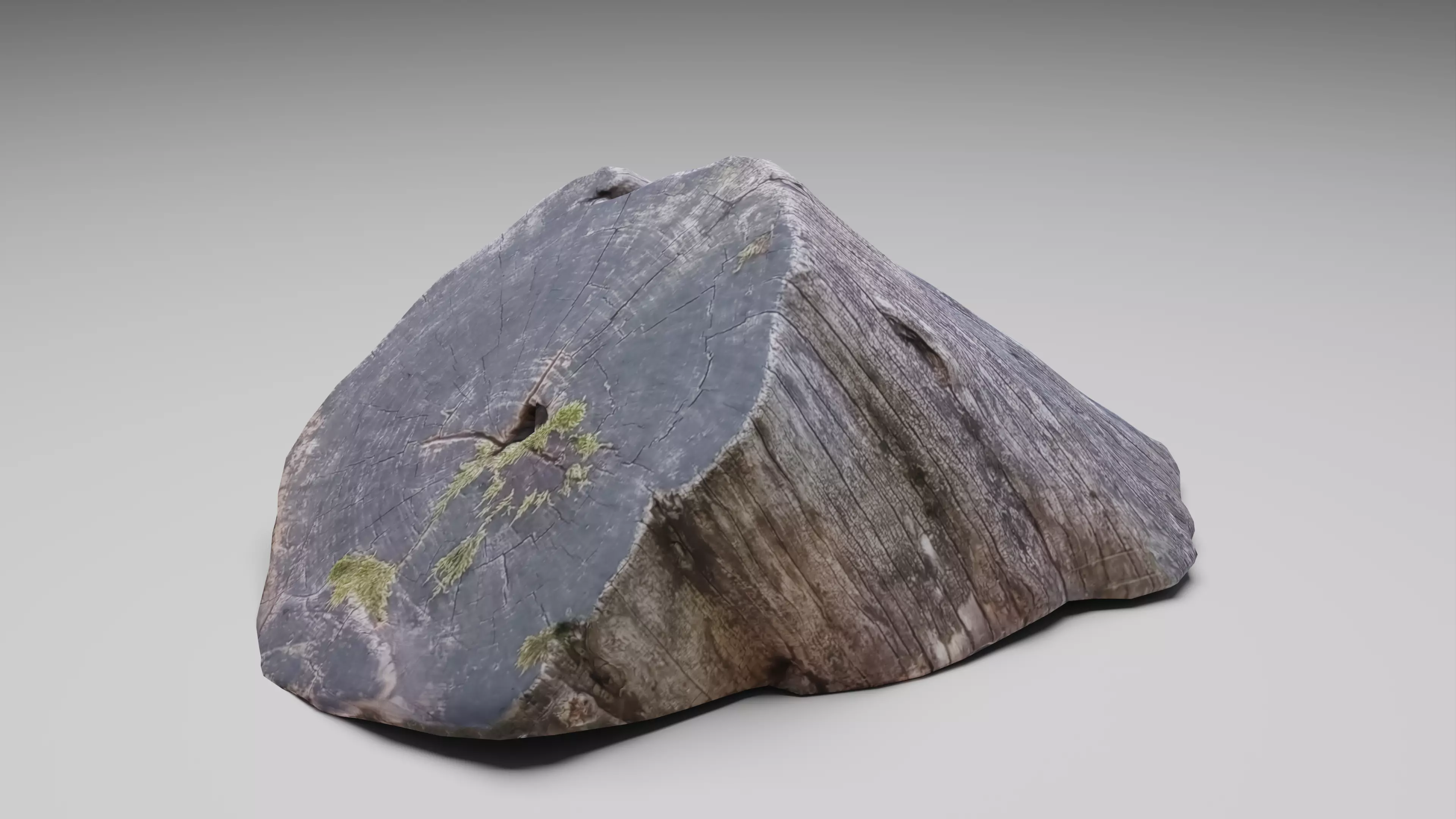 Tree Stump 001 Photoscan PBR Game Ready Low-poly 3D model_0