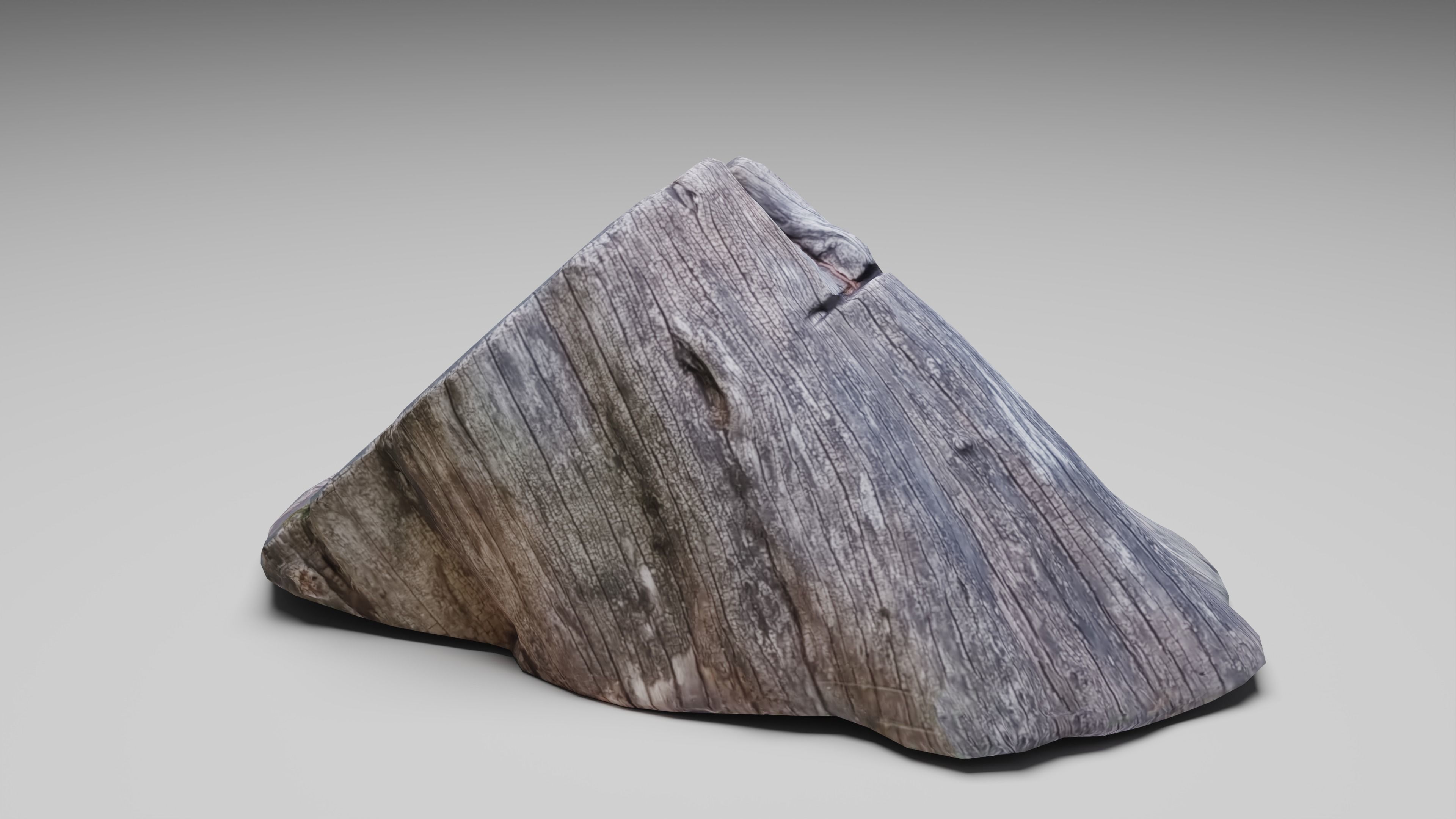 Tree Stump 001 Photoscan PBR Game Ready Low-poly 3D model_5
