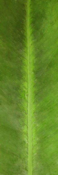 Modern House 003 3D model_76