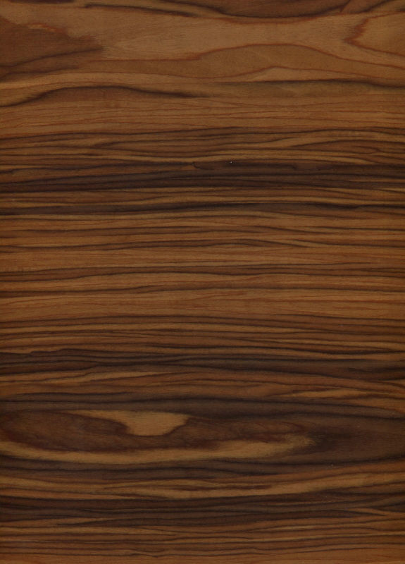 Modern House 003 3D model_97