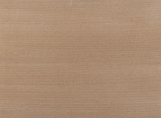 Modern House 003 3D model_33