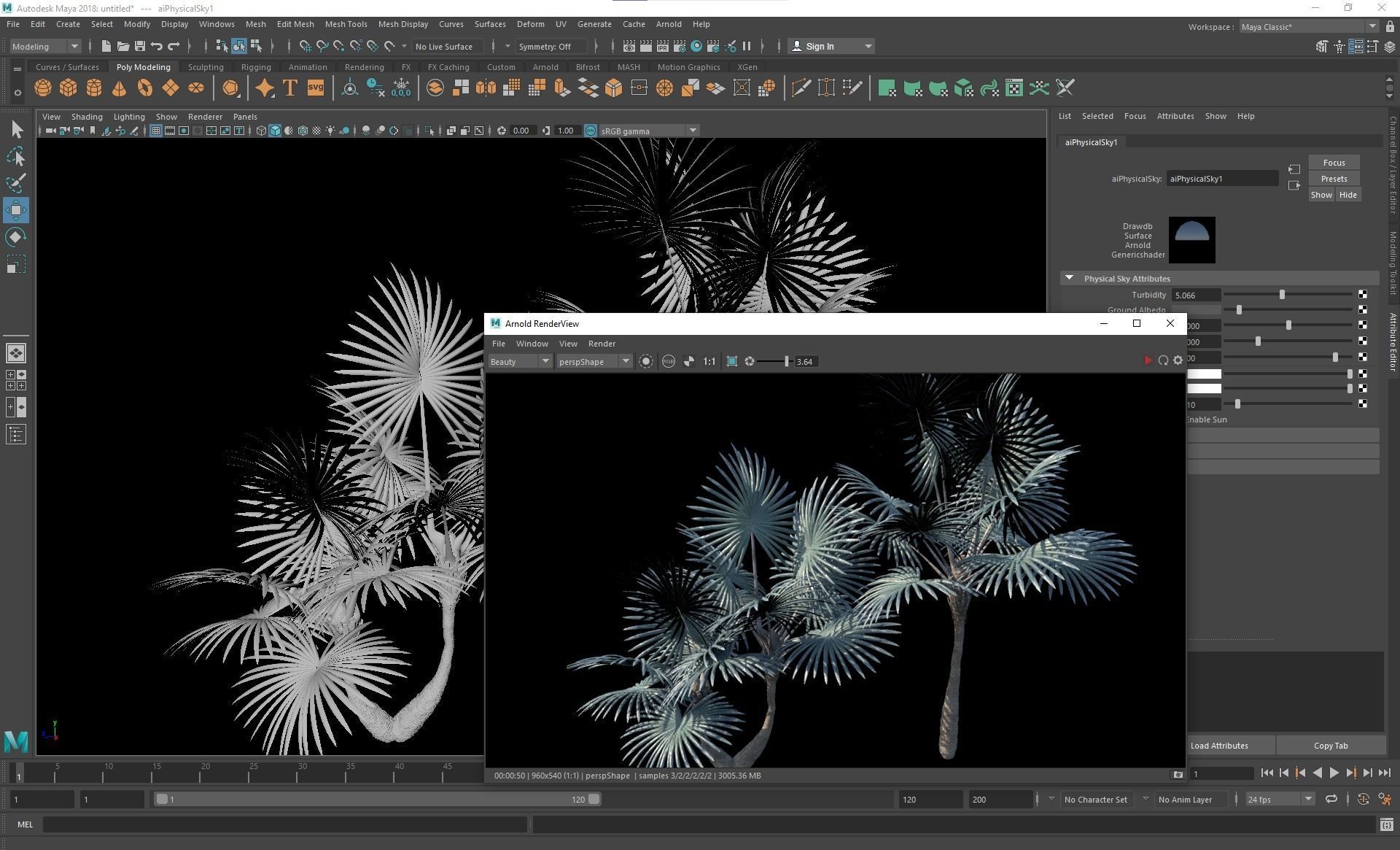 New Plant High detail Bismarckia Nobilisi Palm Decorative 3D model_6