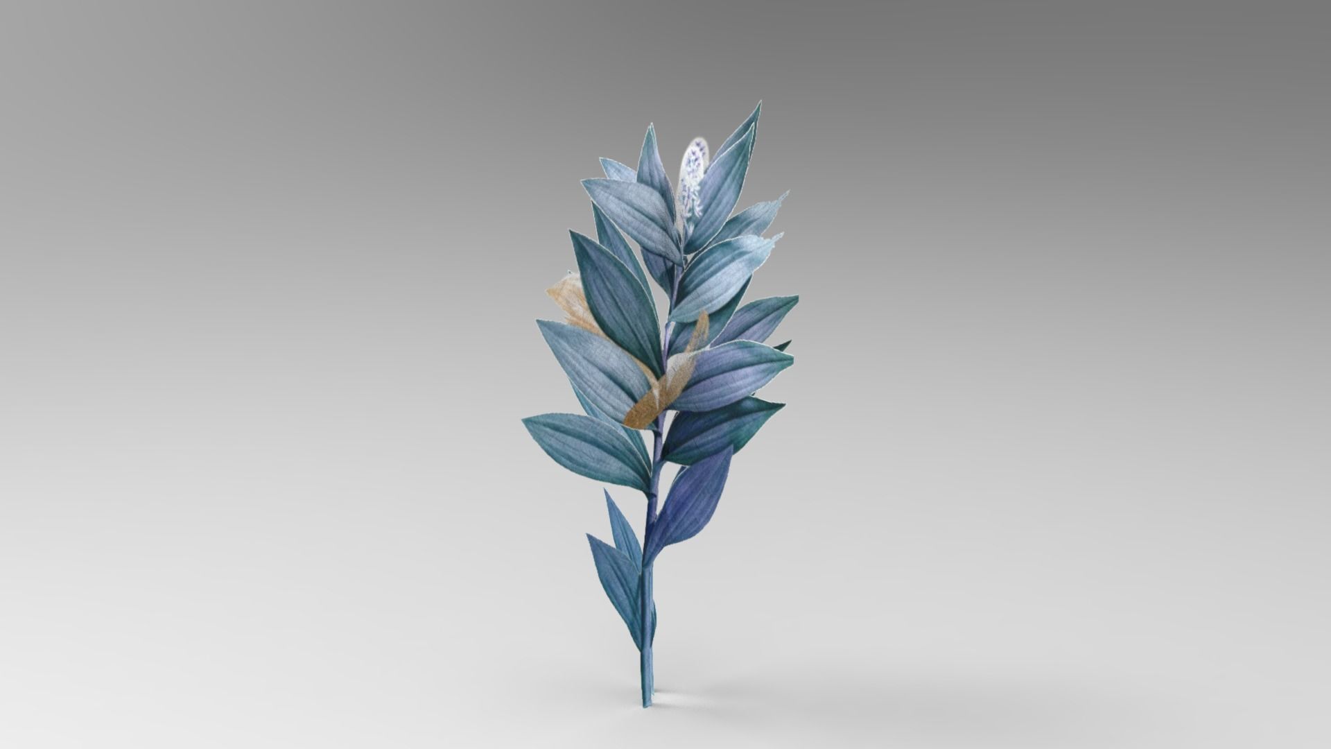 Palm And Grass Low-poly 3D model_9