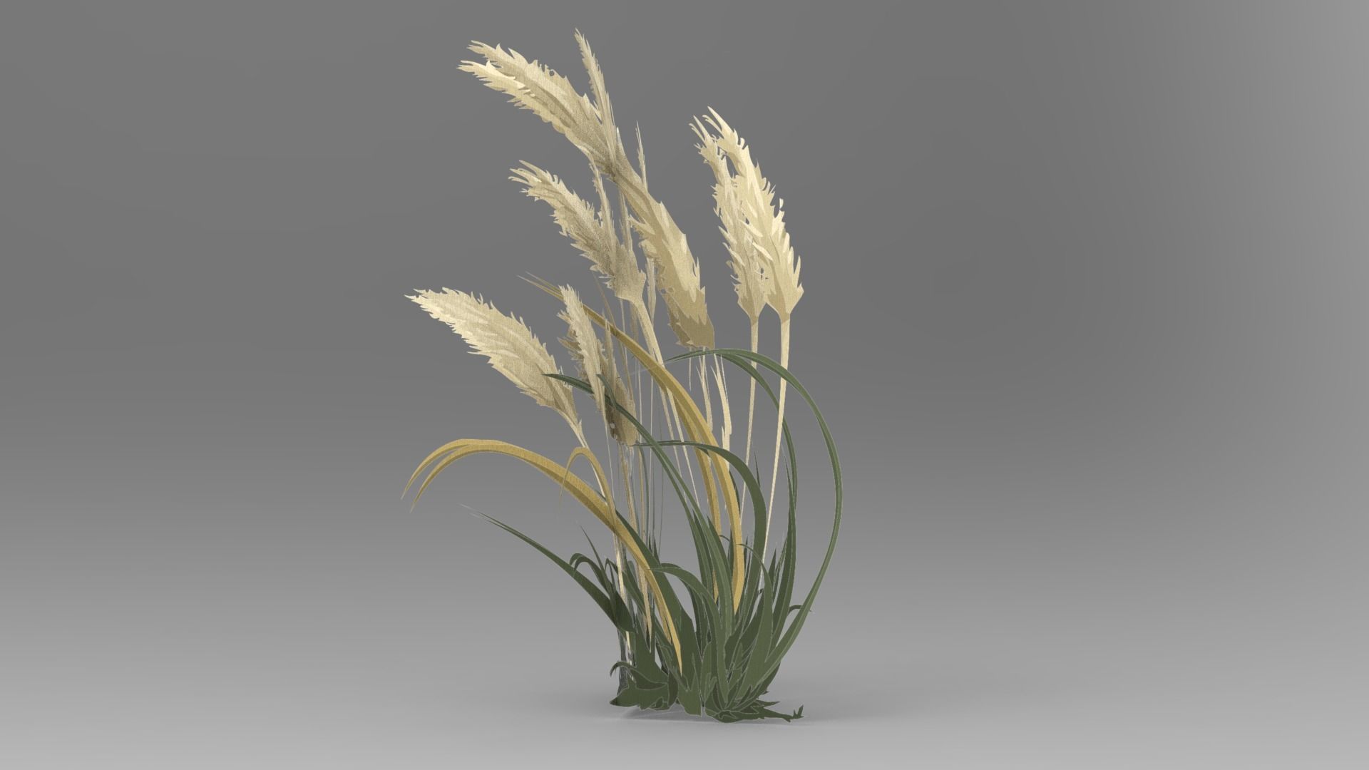 Palm And Grass Low-poly 3D model_8