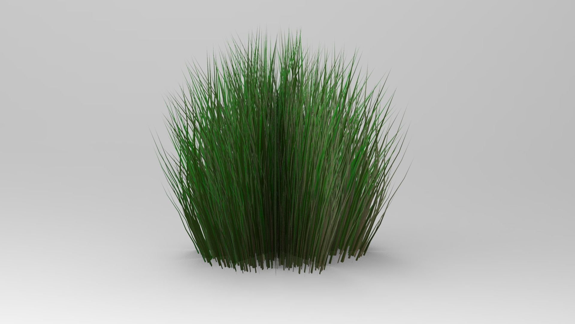 Palm And Grass Low-poly 3D model_7
