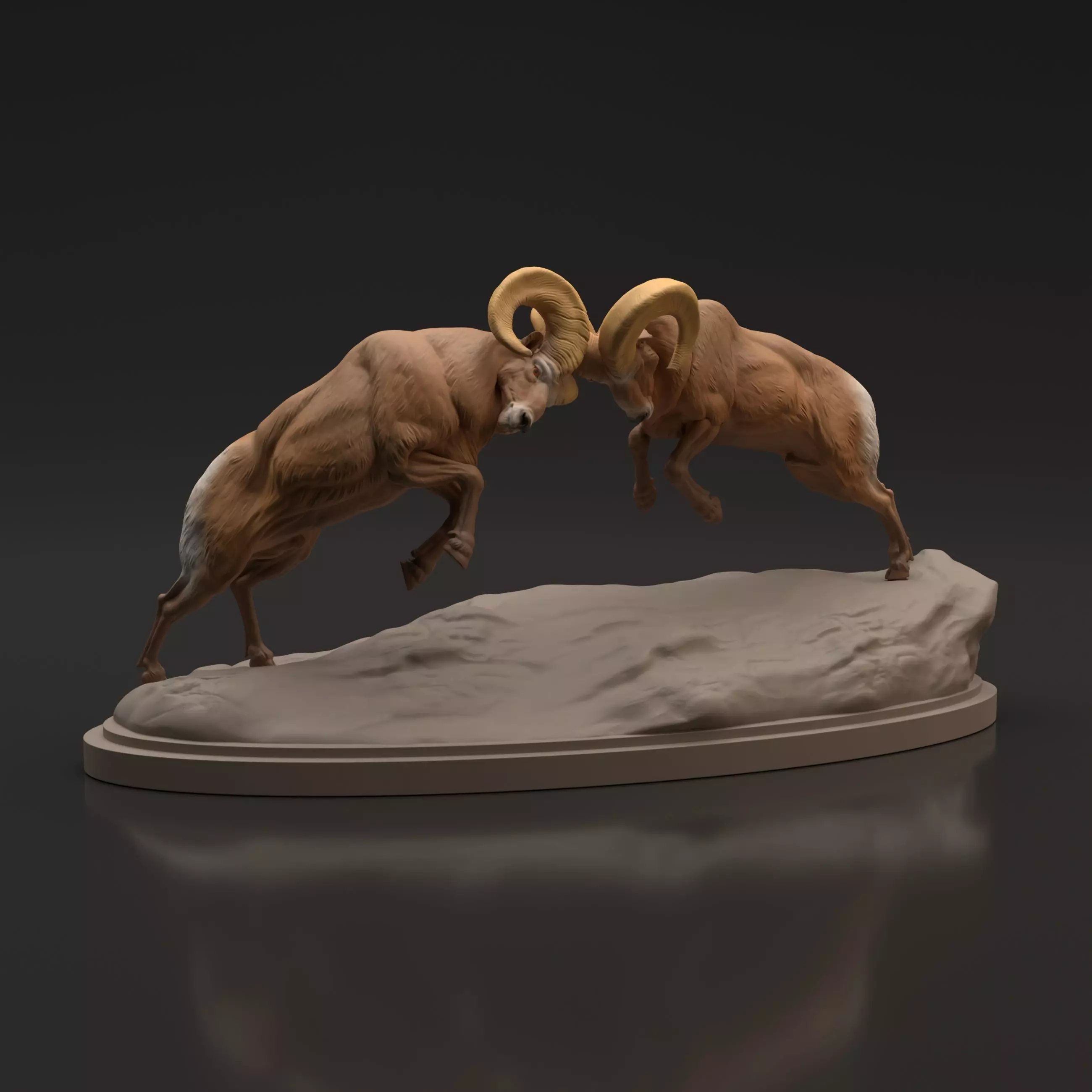 Bighorn Ram Fight for 3D Printing 3D print model