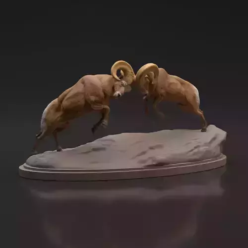 Bighorn Ram Fight for 3D Printing