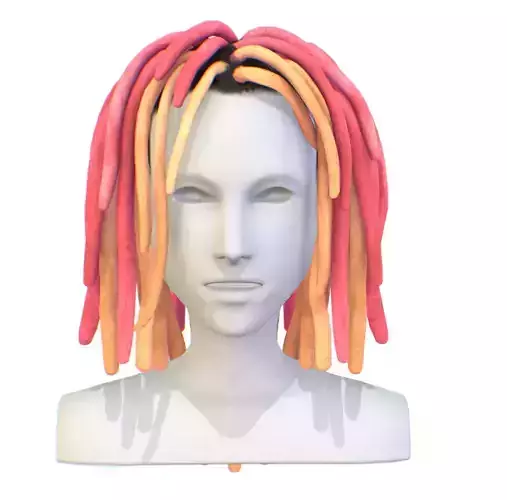 Hairstyle Dreadlocks Multicolor Low-poly 3D model