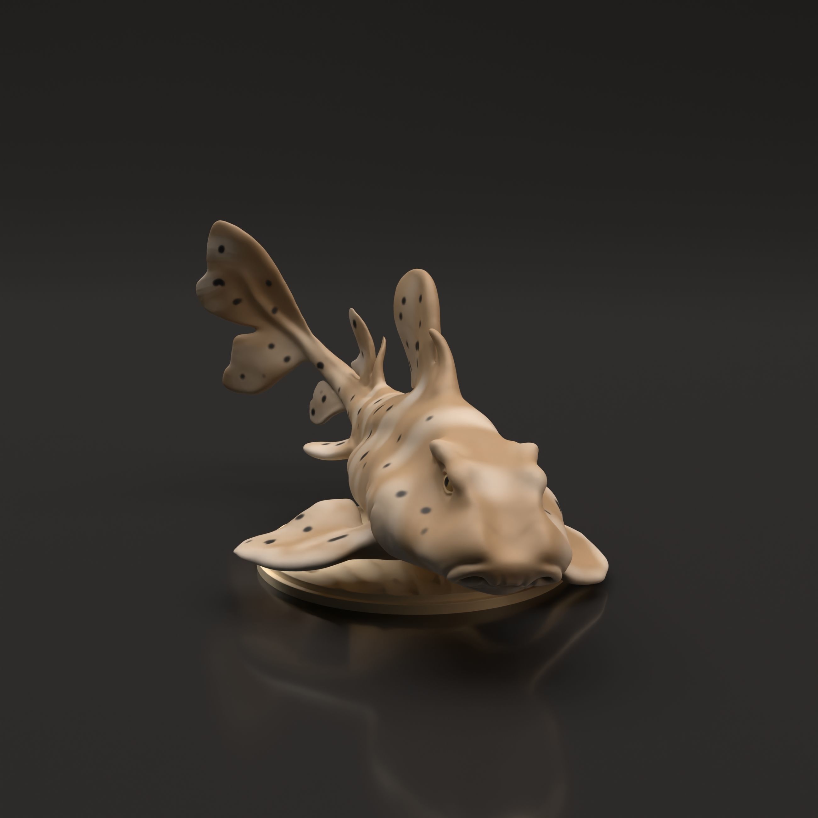 Horn Shark for 3D Printing 3D print model_5