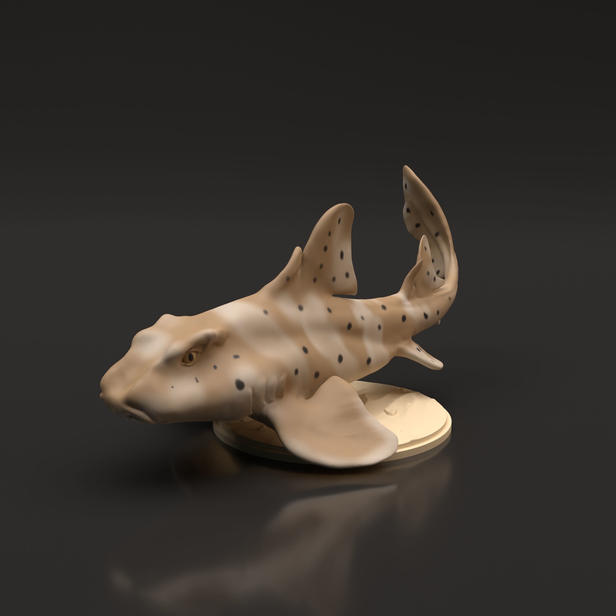 Horn Shark for 3D Printing 3D print model_4