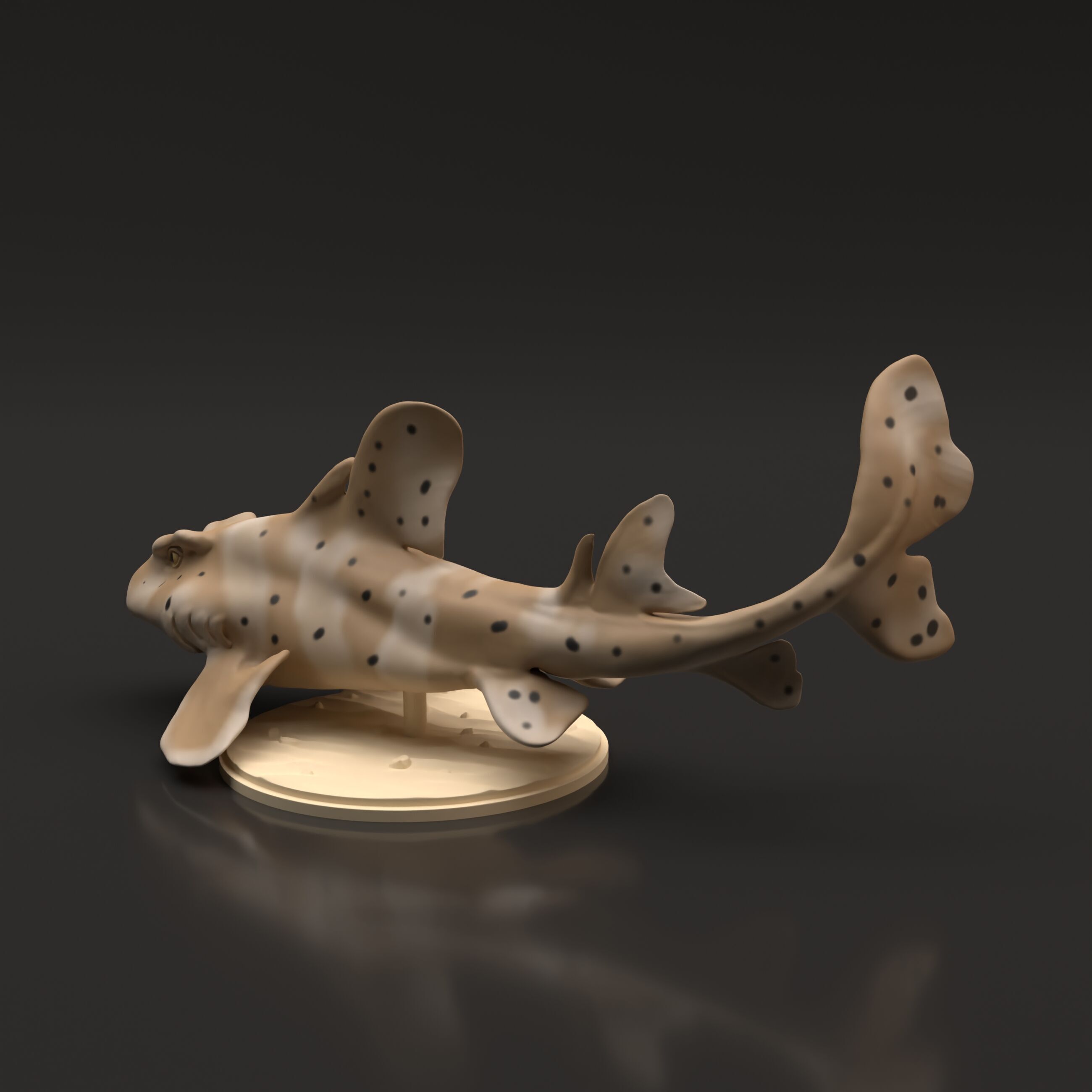 Horn Shark for 3D Printing 3D print model_3