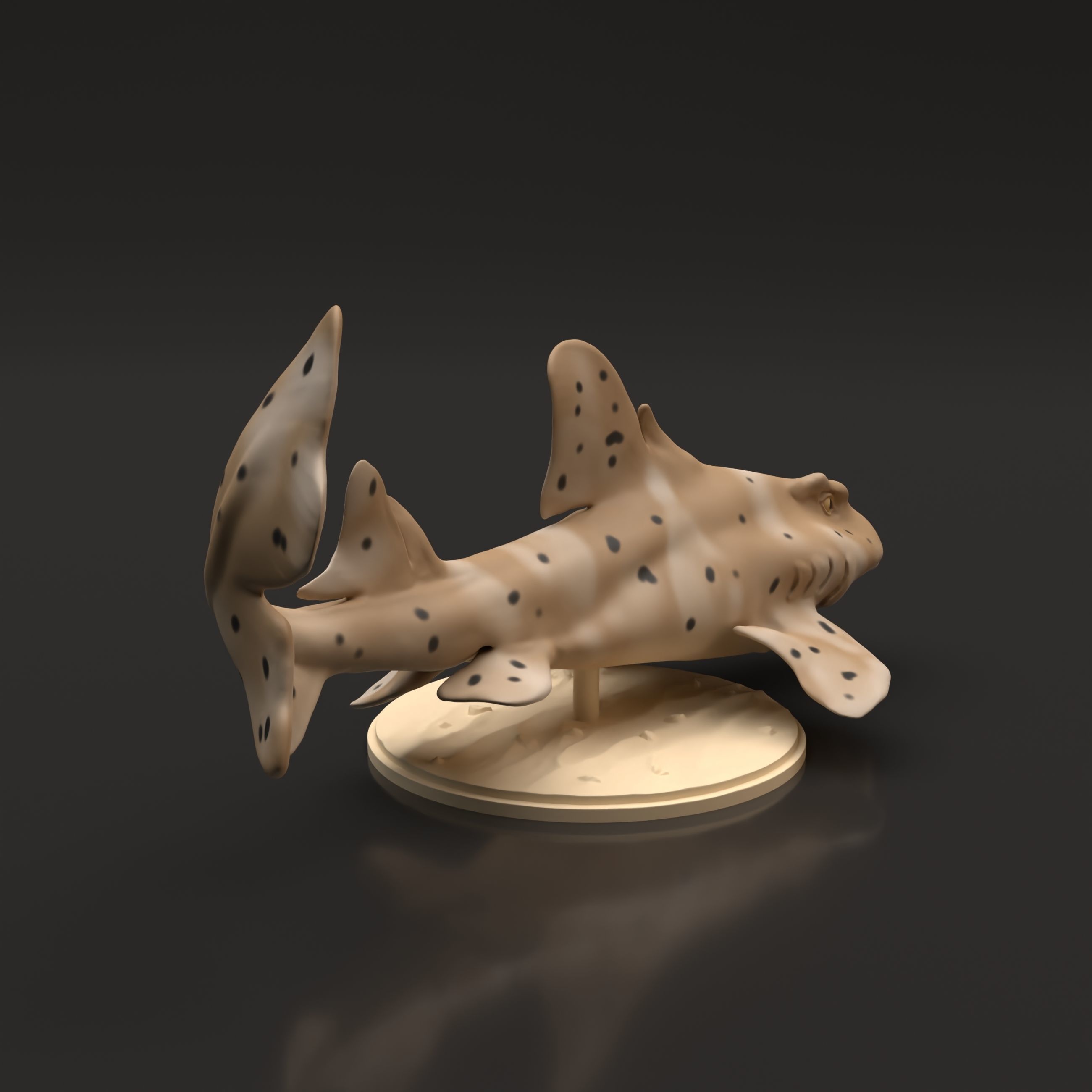 Horn Shark for 3D Printing 3D print model_2