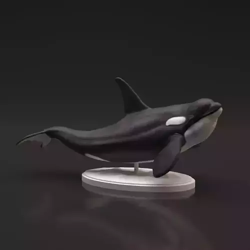 Orca for 3D Printing