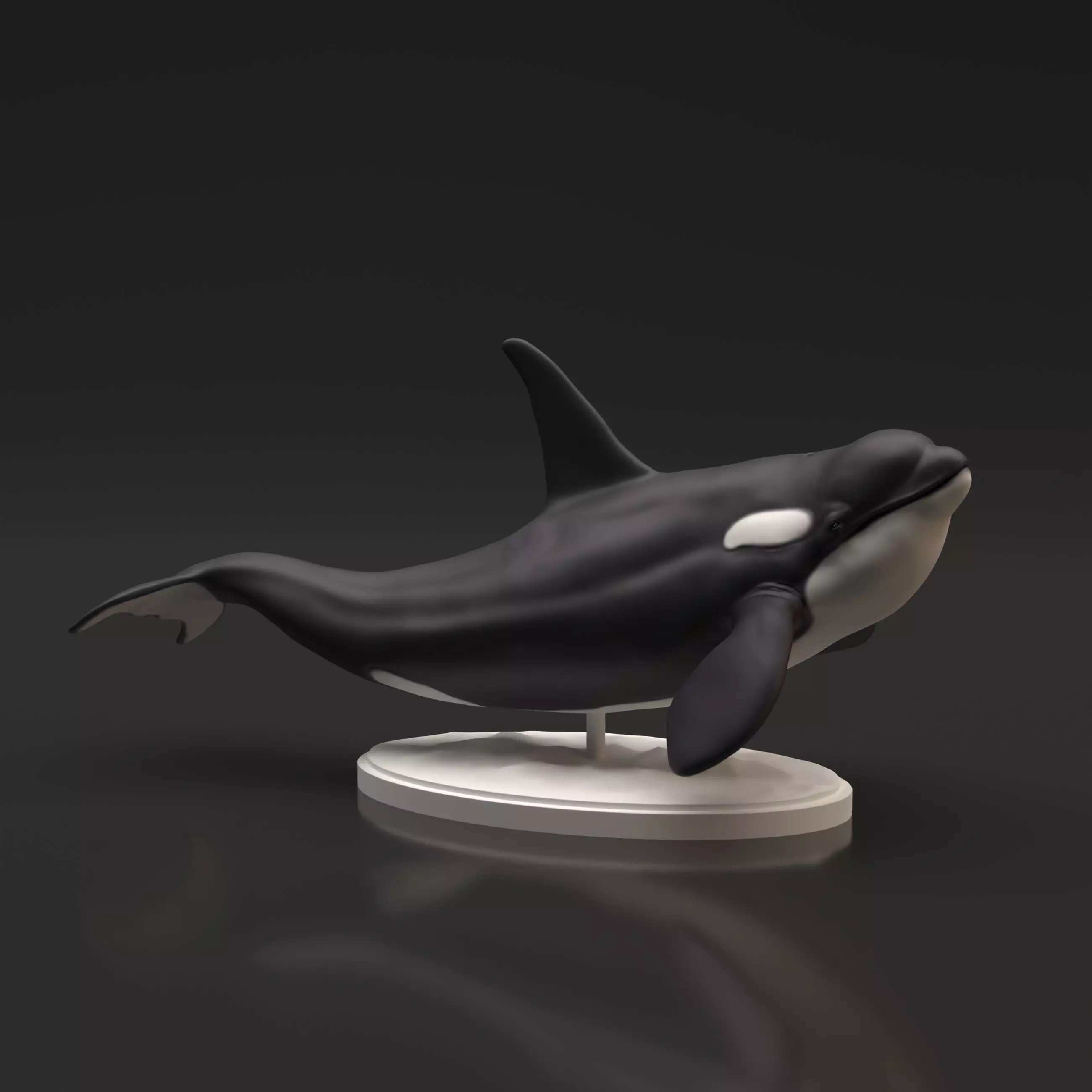 Orca for 3D Printing 3D print model_0
