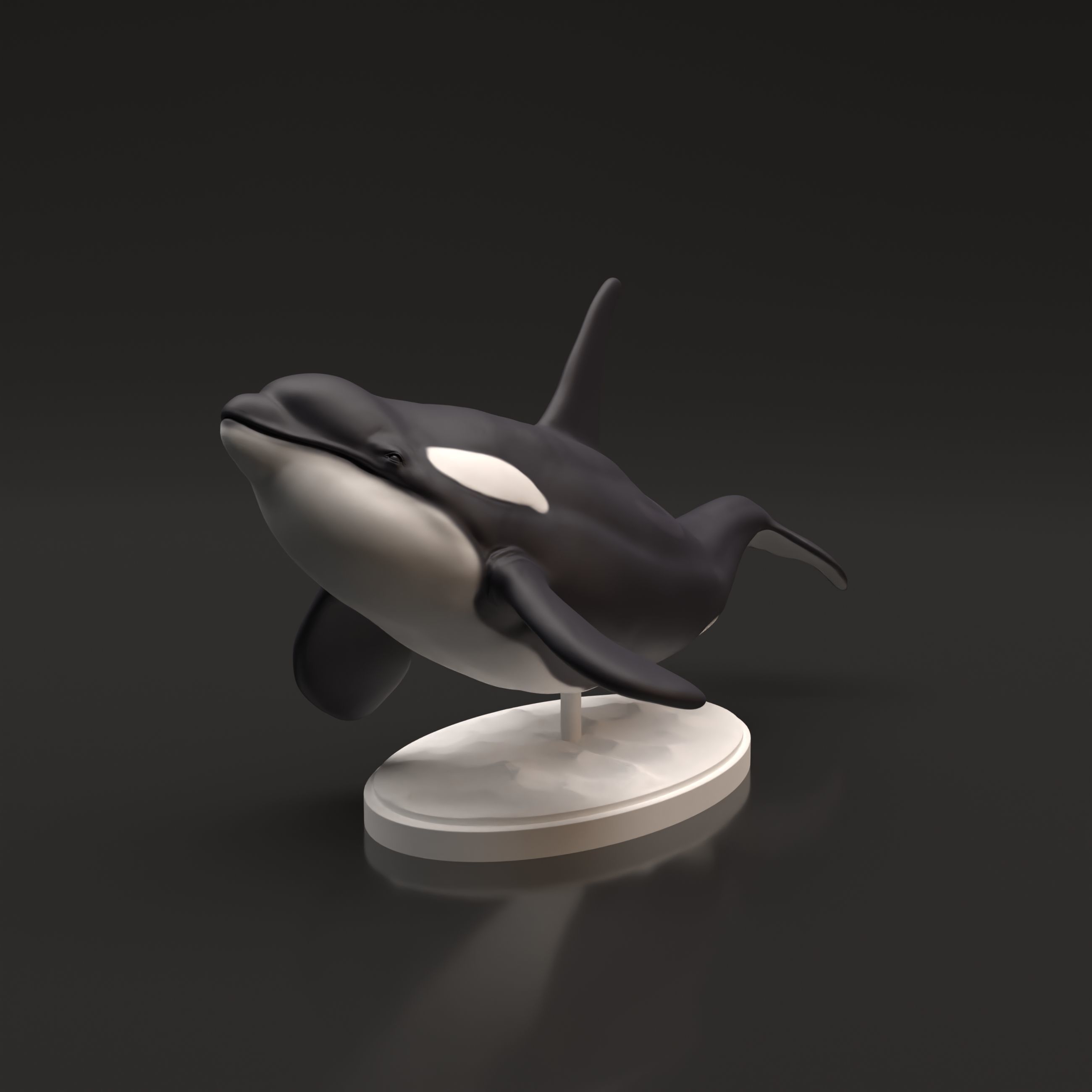 Orca for 3D Printing 3D print model_4