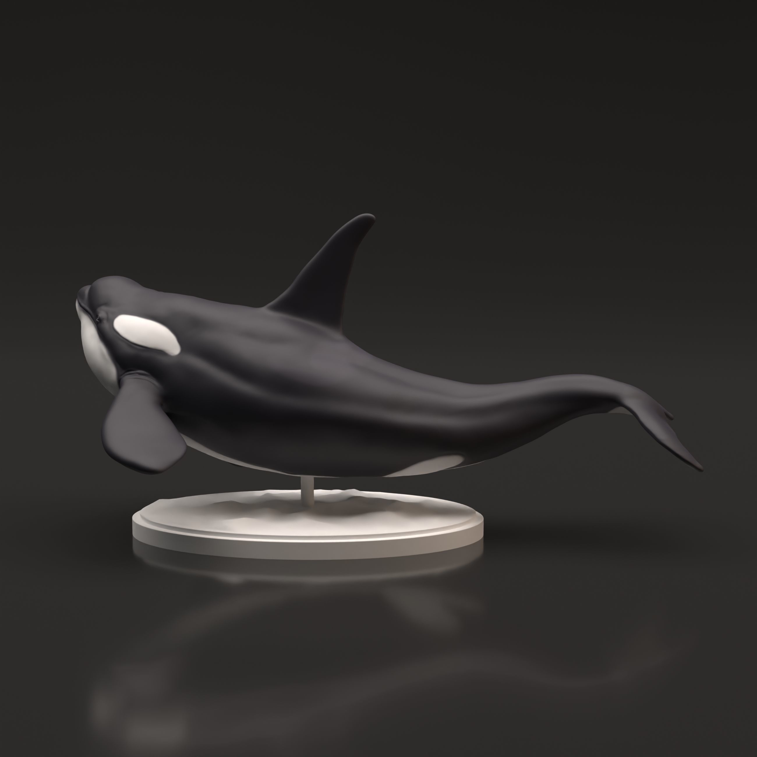 Orca for 3D Printing 3D print model_3
