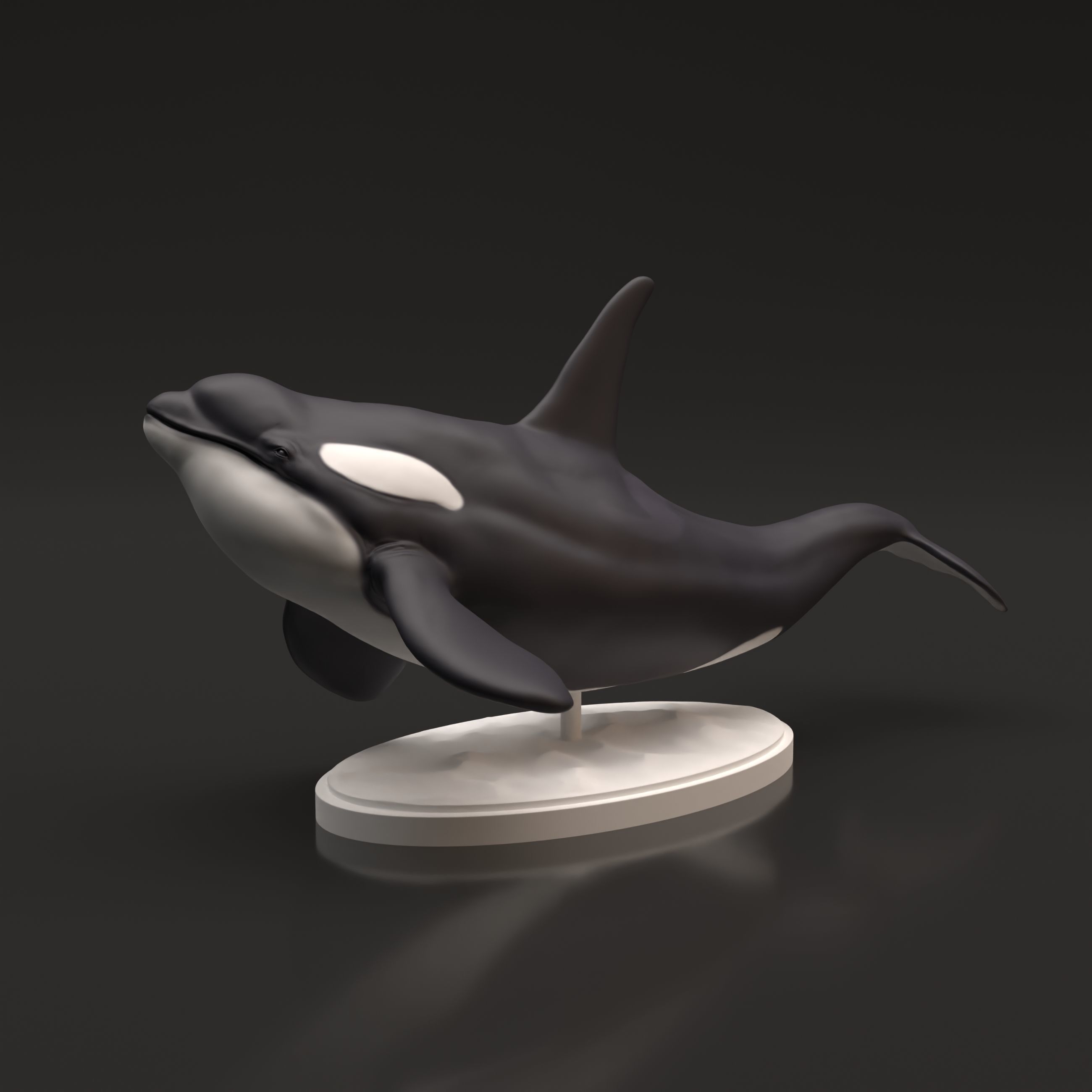 Orca for 3D Printing 3D print model_5