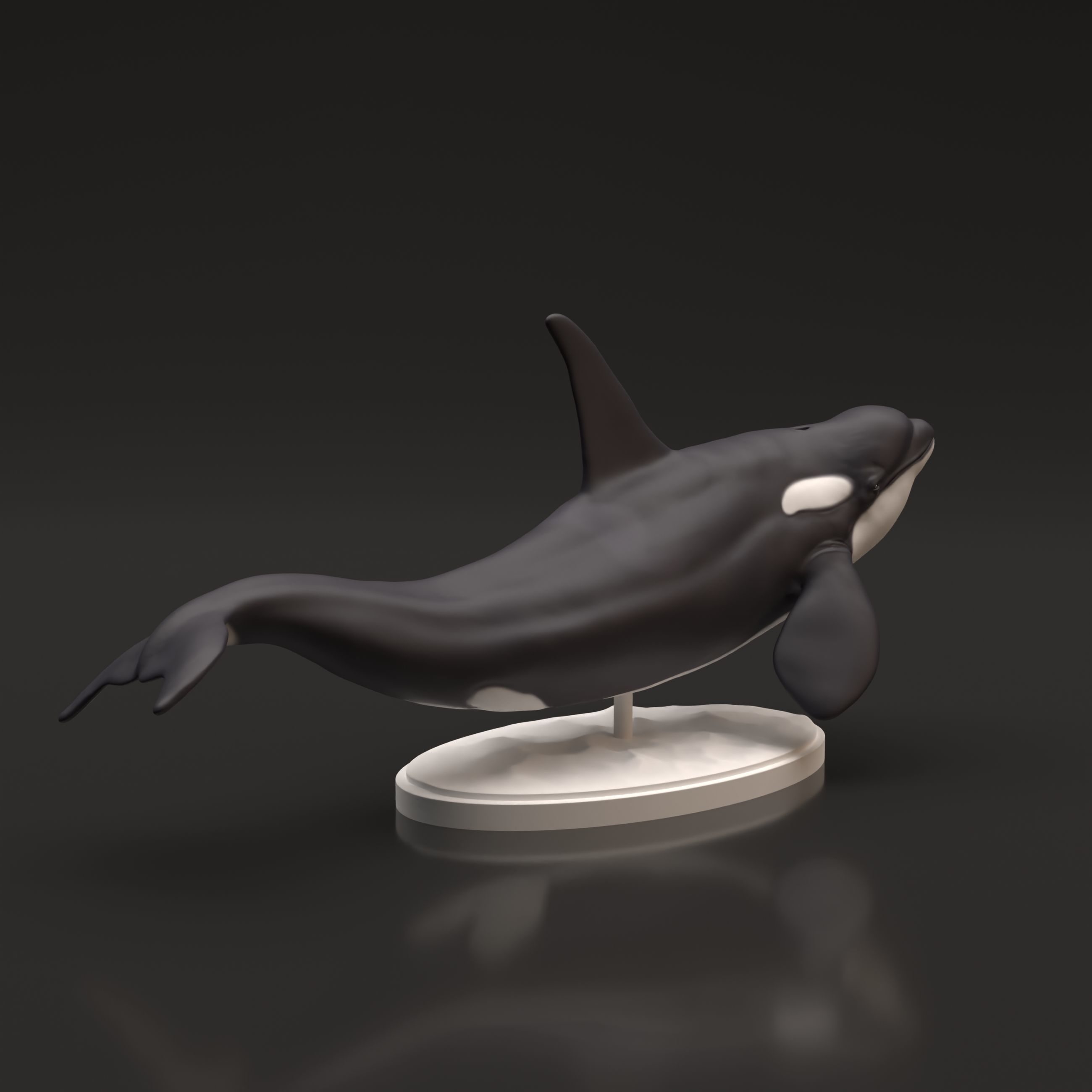 Orca for 3D Printing 3D print model_1