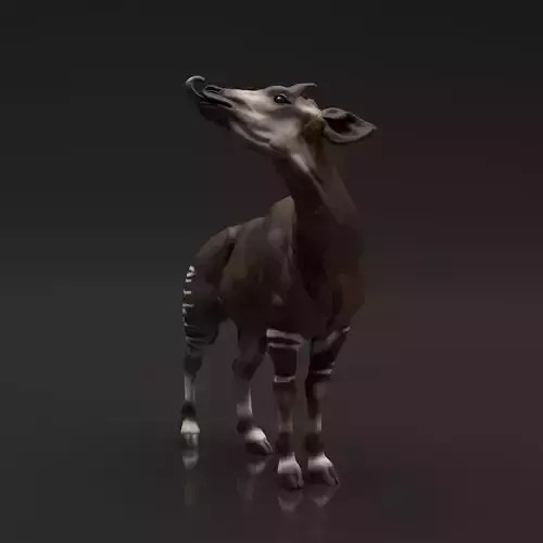 Okapi for 3D Printing