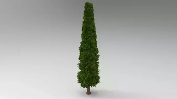 Pine tree Low-poly 3D model