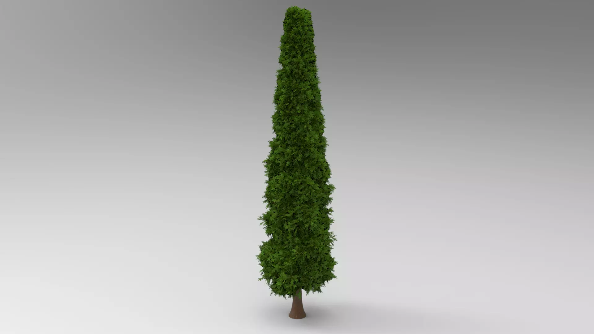 Pine tree Low-poly 3D model_0
