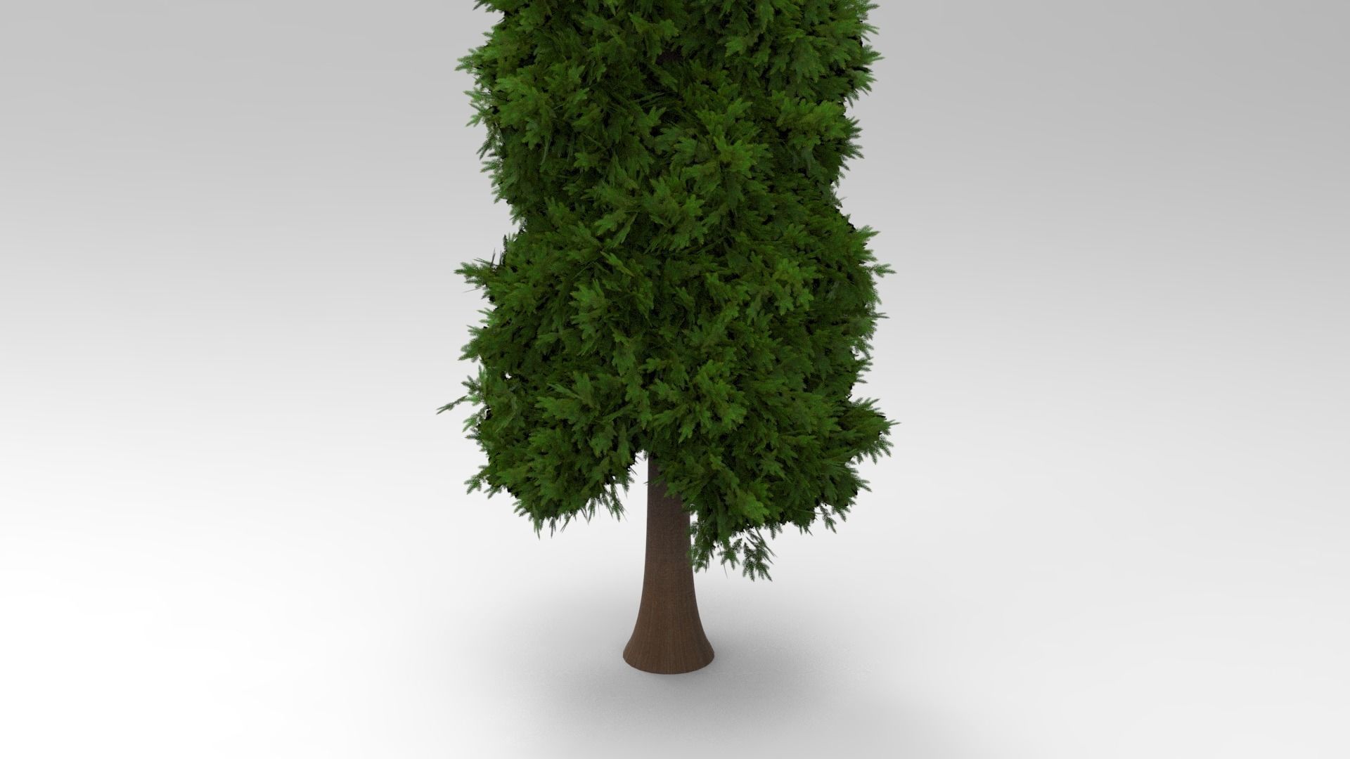 Pine tree Low-poly 3D model_1