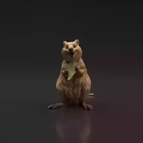 Quokka for 3D Printing 3D print model